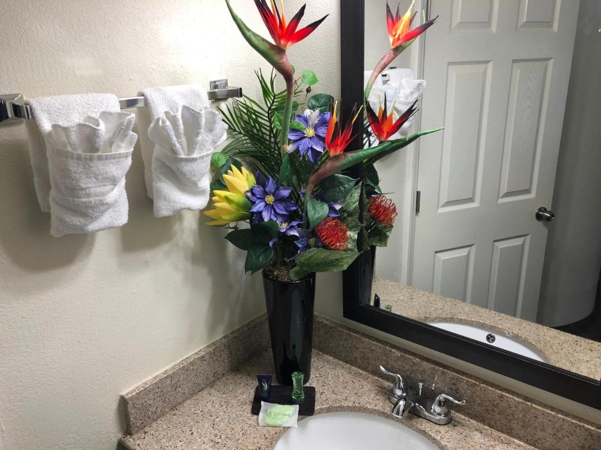 Econo Lodge Choice Hotels I 95 Savannah Gateway 24 Hour Fitness Center On Site Guest Laundry On Site Perkins Restaurant Georgetown Exterior foto